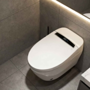 toilet-001