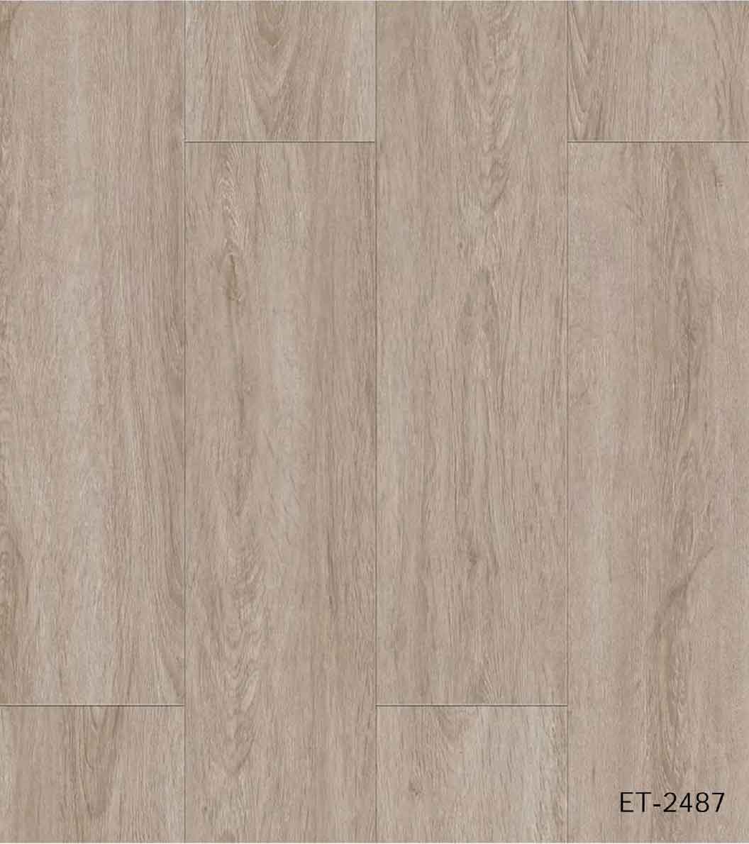 ET2487