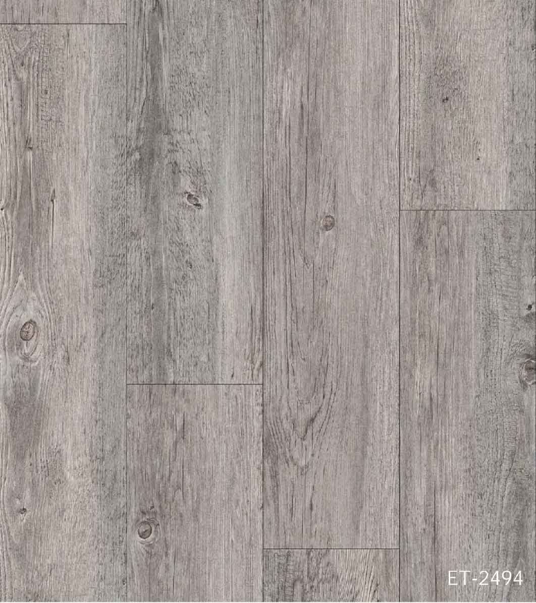 ET2494