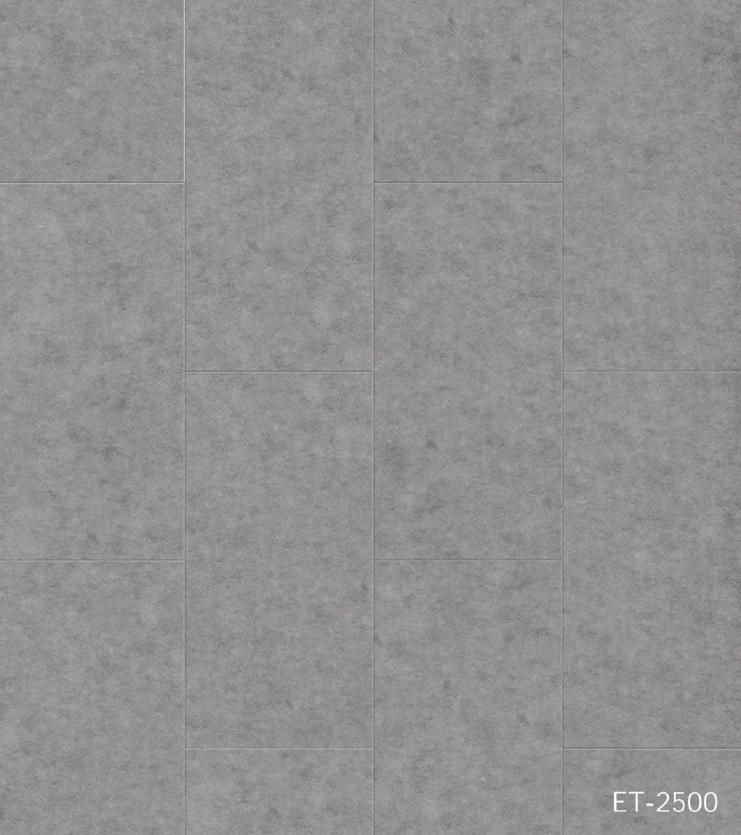 ET2500