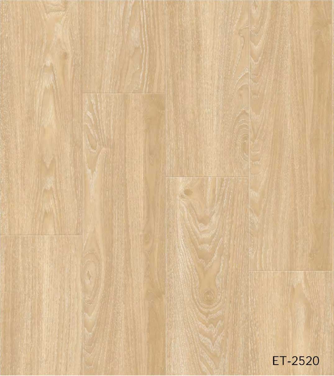 ET2520