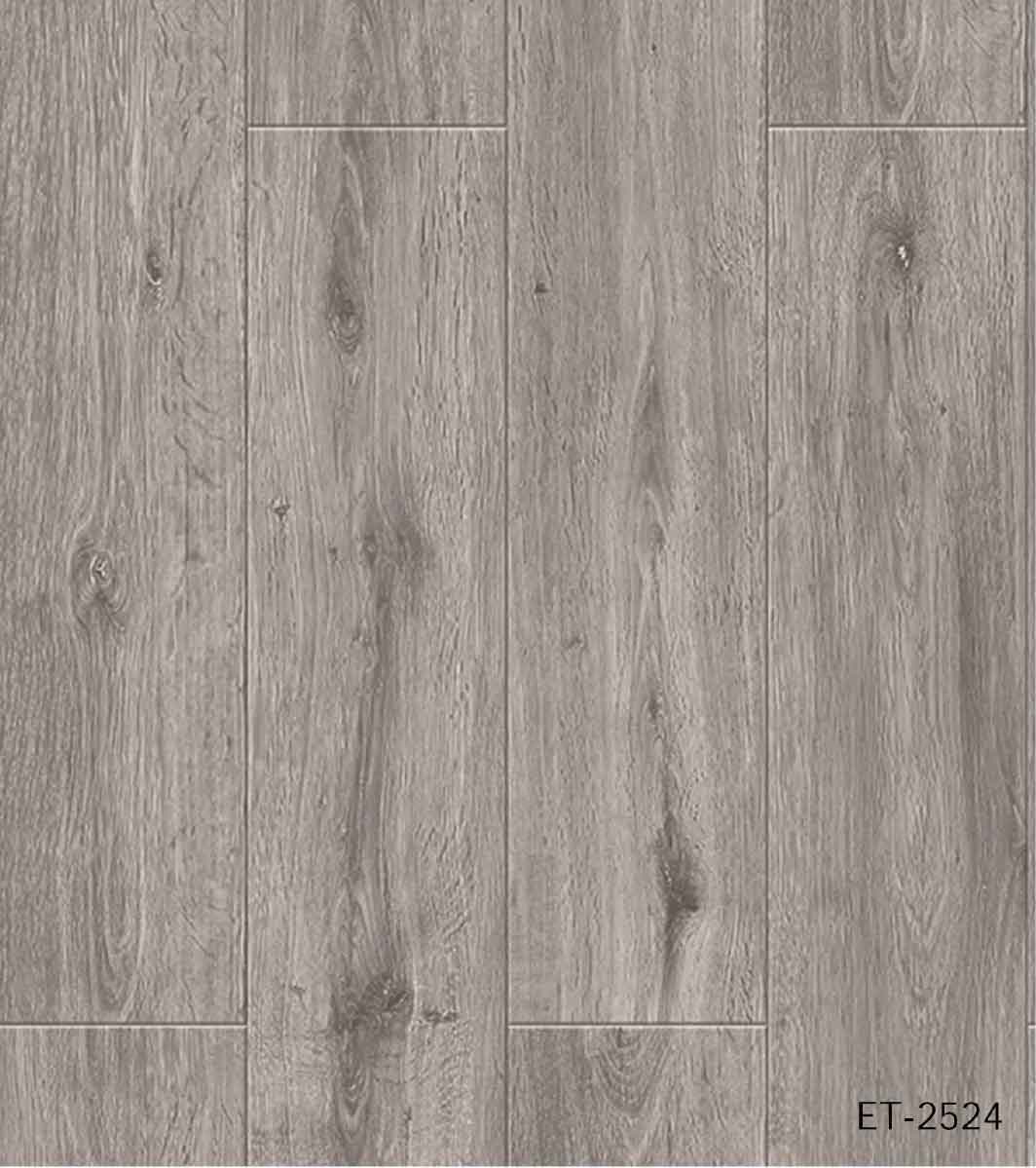 ET2524