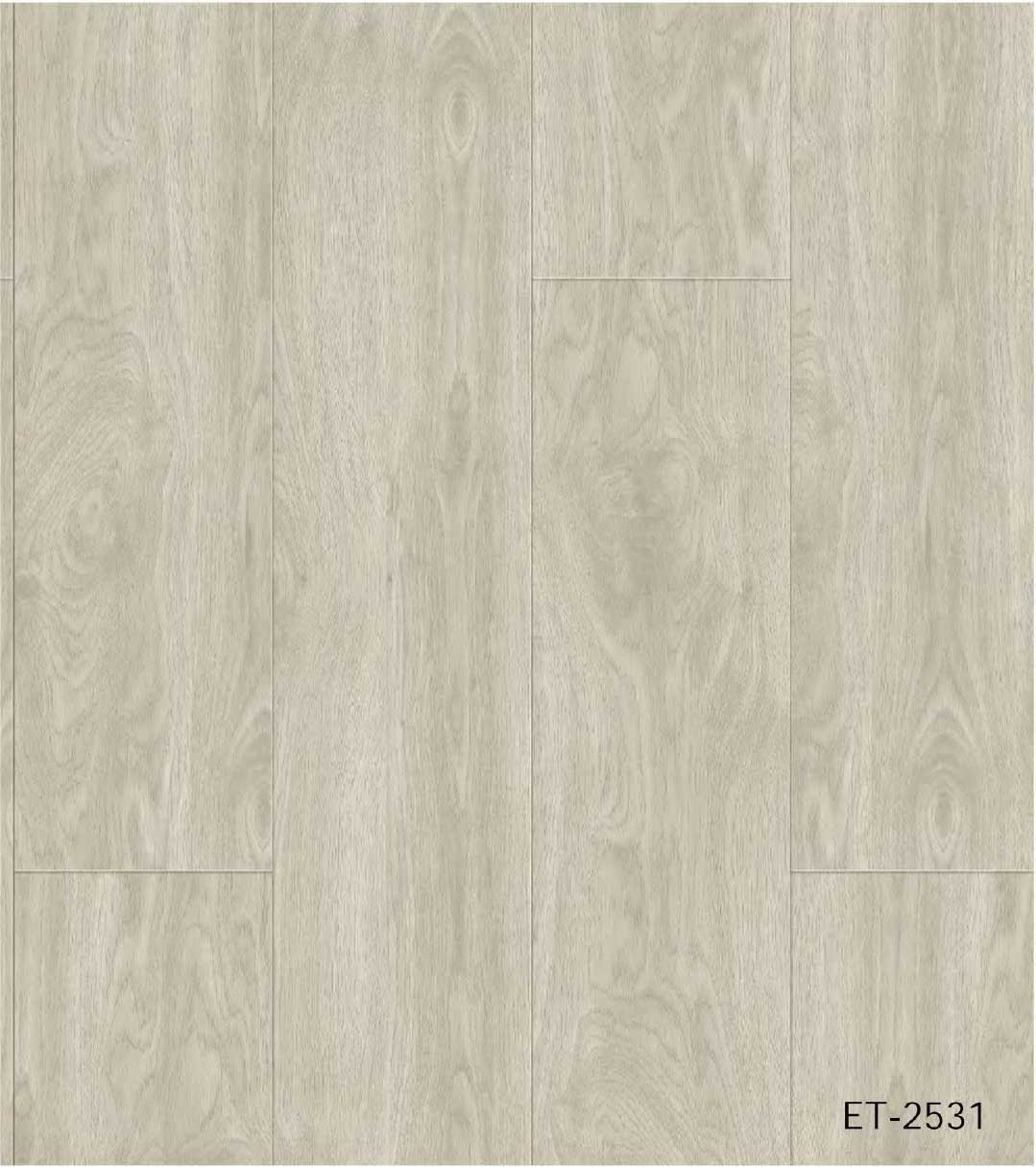 ET2531