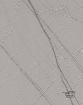 HZ-CG063-2A