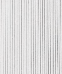 LS01
