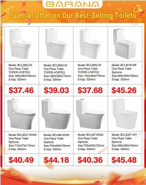 Limited Time Promotion (11)