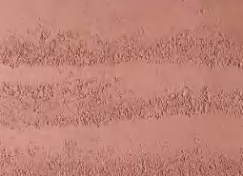 RE01