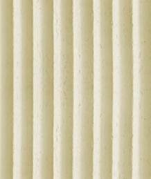 RS03
