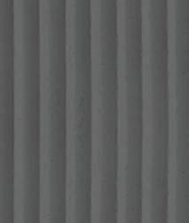RS06