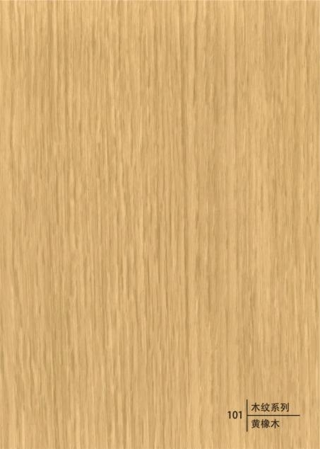BRN-101