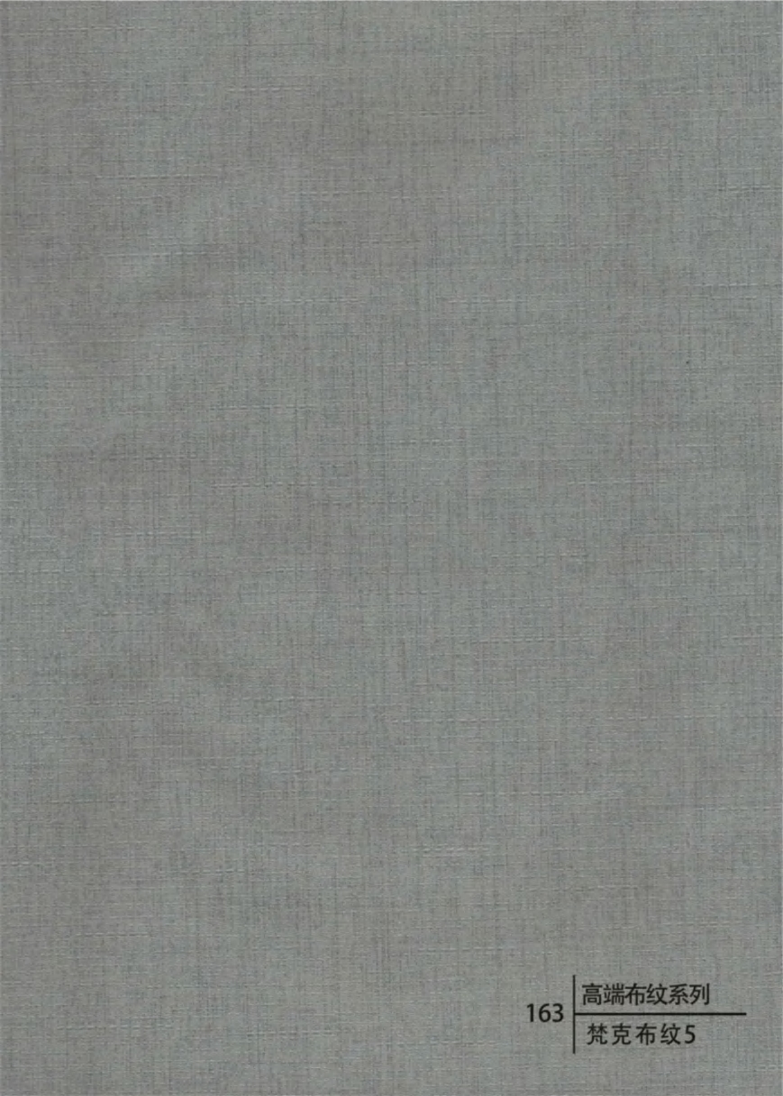 BRN-163