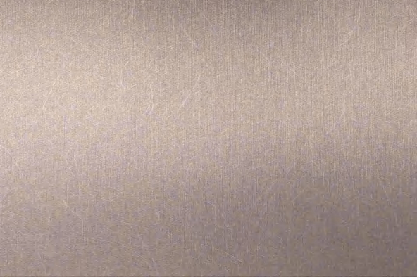 BRN-JS·06-13